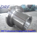 Forging Shaft (Large axis forging Gear forgings)